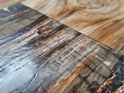 Petrified Wood Plank Flooring Ancient Wonder Meets Aerospace Innovation
